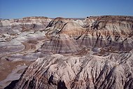 Painted Desert with logs of petrified wood, Petrified Forest National Park