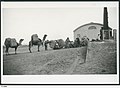 Image 23Camel train, with wool from Nappamerry being unloaded at the Railway Station, 1928. (from Transport in South Australia)