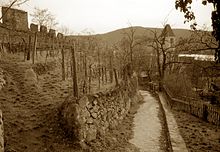 Vineyards cover the steep mountainsides; the walls of a ruined castle rise above the vineyards and a narrow path leads to a small village.