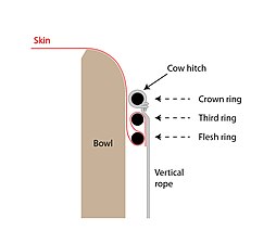Schematic of three-ring skin mounting