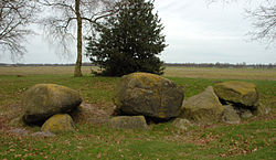 Das Großsteingrab D5 bei Zeijen