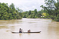 Tropical rainforest climate in Orinoco Delta