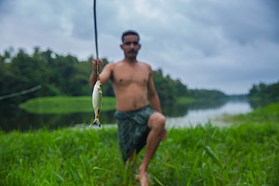 Fisherman with his catch of the commonly found Paral Fish (Dawkinsia filamentosa) from the Chalakudy River
