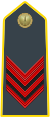 Appointee (Appuntato) (Lance corporal)