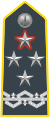 Shoulder insignia of a comandante generale of the Guardia di Finanza