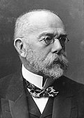 Heinrich Hermann Robert Koch was a physician and microbiologist who discovered the specific causative bacteria of deadly infectious diseases including tuberculosis, cholera, and anthrax. He is regarded as one of the main founders of modern bacteriology. He is also popularly nicknamed the 'father of microbiology" alongside Pasteur, and is also called the "father of medical bacteriology".