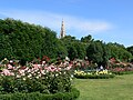 Rosengarten im Volksgarten, Wien