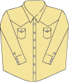A typical western shirt has mother of pearl snap fasteners, two breast pockets, and a v-shaped motif.