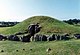Bryn Celli Ddu burial mound