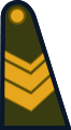 Sargento (Argentine Army)[25]