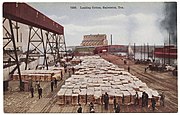 Baumwolle-Verladung in Galveston (1911)