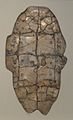 Tortoise plastron with divination inscription dating to the reign of King Wu Ding