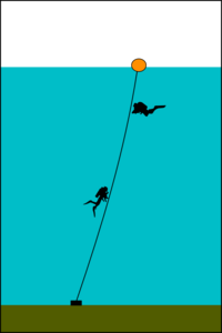 Basic shotline: Weight, and float connected by a line