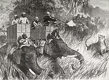 Lithographic image showing hunters in howdahs on two elephants with Indian mahouts; a white hunter is firing a gun at a snarling tiger at short range. Four or more further elephants with Indian mahouts and hunters in howdahs are in the background.
