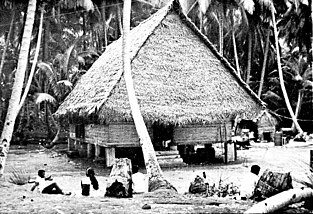 Thatched roof bamboo building