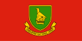 Flag of the Zimbabwe National Army