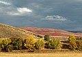 Fall colors - Huntsville, Utah