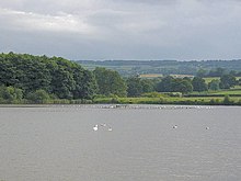 Expanse of water with white birds. Trees and hills in the background