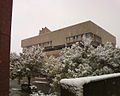 A concrete building sitting behind several trees covered in snow.