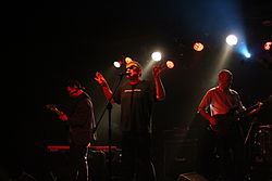Świetliki onstage in Cracow, 2013