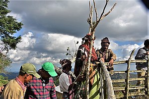 Tara-Bandu-Zeremonie in Nanu