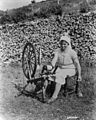 An Acadian lady spinning wool, 1938