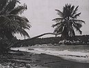 A beach near Scarborough, Tobago, similar to the one on the fictional island of Isabella in The Mimic Men.