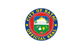 Flag of Batac