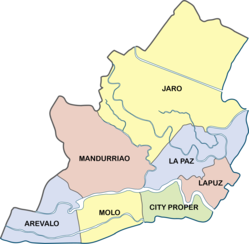 The districts of Iloilo City are Arevalo, City Proper, Jaro, La Paz, Lapuz, Mandurriao, and Molo.