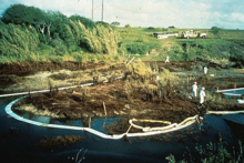 Oil stains river bank about ten feet above stream level. People in protective white suits have placed white absorbent boom to catch oil in stream.