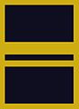 Flight suit sleeve insignia for a lieutenant (2003–present)