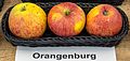 Orangenburg