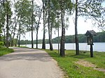 Lake in Debrzno