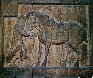 Photo of a stone relief showing a horse, saddled and equipped for riding, and a standing soldier trying to pull out an arrow from the horse's chest