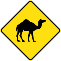 (W5-44) Camels crossing
