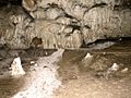 Flowstone in Cueva Bolado, Llanes