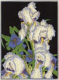 Pencilled Irises, c. 1925–1932, colour linocut on laid paper, National Gallery of Canada, Ottawa