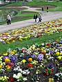 Flower beds of the Parc Floral de Paris