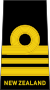Lieutenant commander