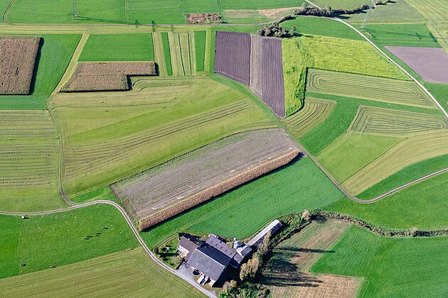 6. Schrägluftbild von landwirtschaftlichen Flächen in Satteins von Herbert Heim