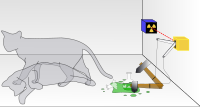 Schrödinger's cat which is paradoxically simultaneously alive and dead, until someone observes it. This poses the question of when exactly quantum superposition ends and when reality resolves into one possibility or the other.