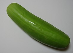 Oriental pickling melon