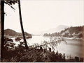 Blick auf den Columbia River, Cascades, 1867, von Carleton Watkins