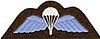 Wings badge