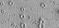 Close view of possible ring-mold craters on floor of large crater, as seen by HiRISE under the HiWish program