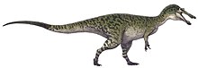 Colour drawing of a long-tailed dinosaur walking on its hind legs