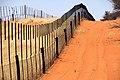 Links der Grenzzaun zwischen Namibia und Botswana Rechts der Farmzaun des angrenzenden namibischen Farmers Blick Richtung Süden (2018)