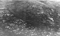 Aerial photograph in black and white of a spur line running diagonally from the top of the photograph to the bottom right, pockmarked and devoid of vegetation. The low ground surrounding feature in the bottom left is heavily cratered, many of which appear to be filled with water.