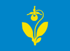 Flag of Snåsa Municipality
