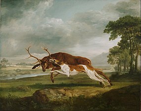 Hound Coursing a Stag (ca. 1762), oil on canvas, 100.1 x 125.8 cm., Philadelphia Museum of Art